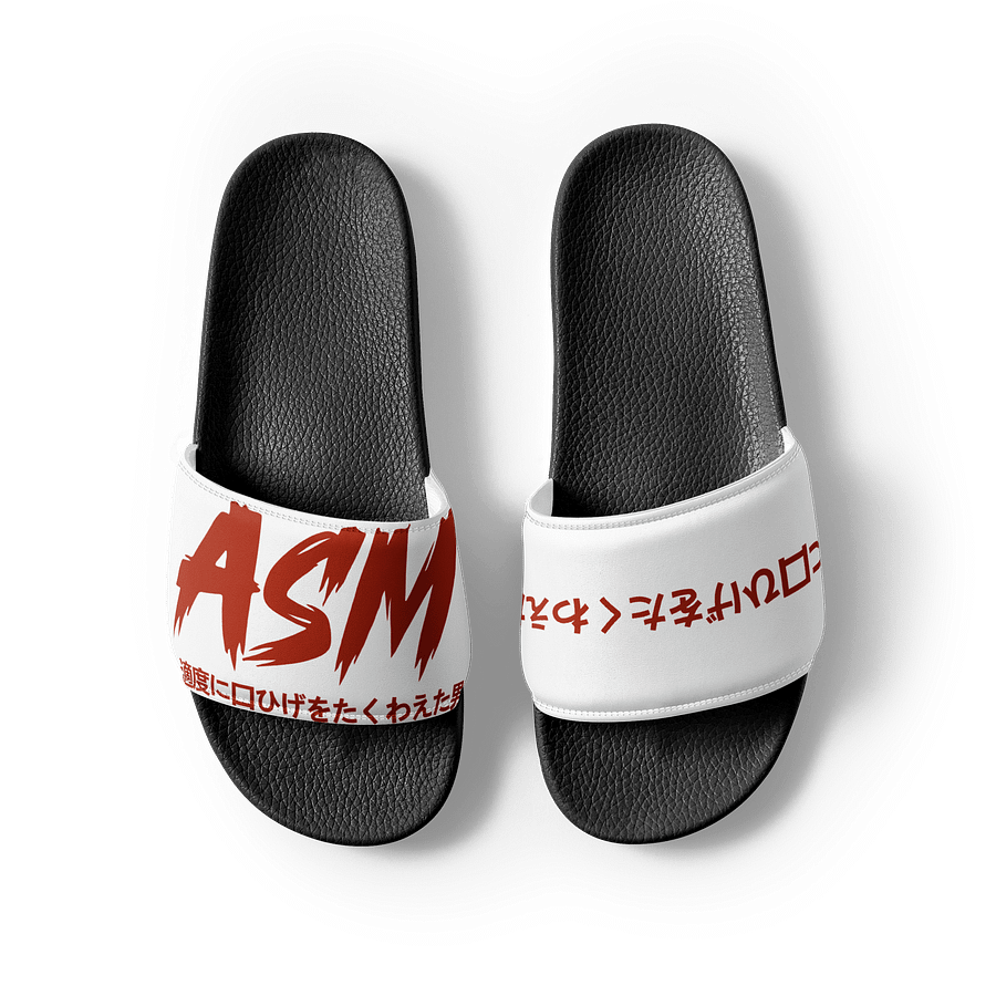 The ASM Slides product image (3)