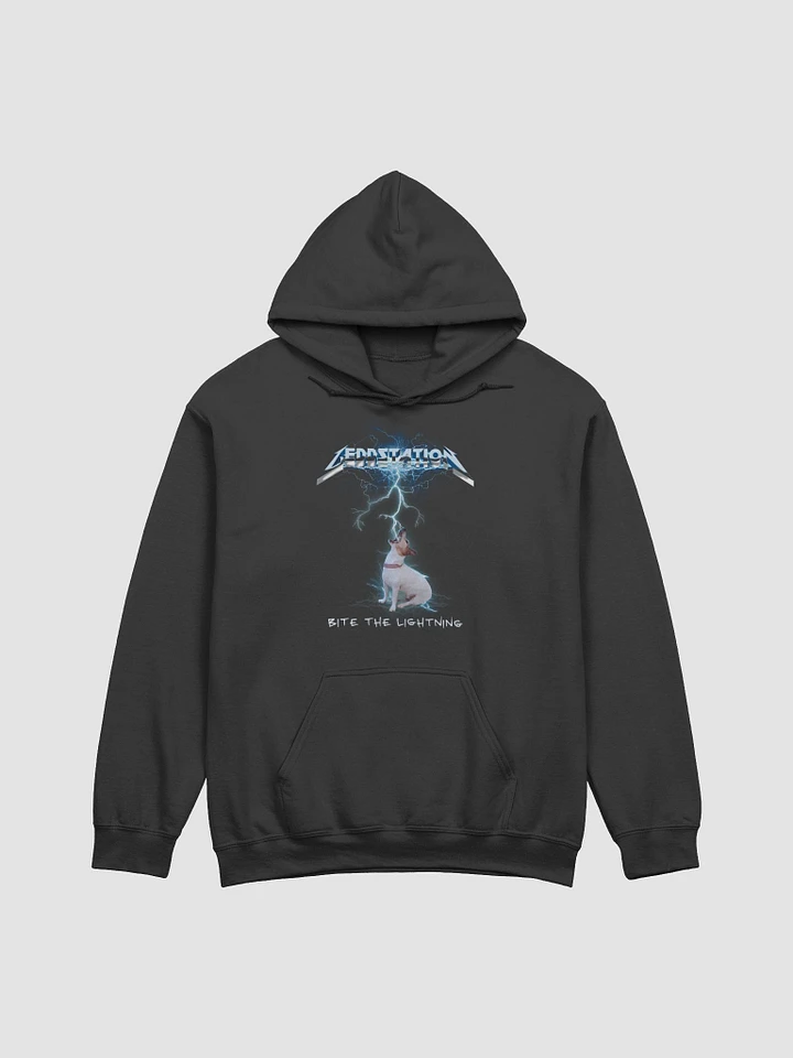 Bite The Lightning Hoodie product image (1)