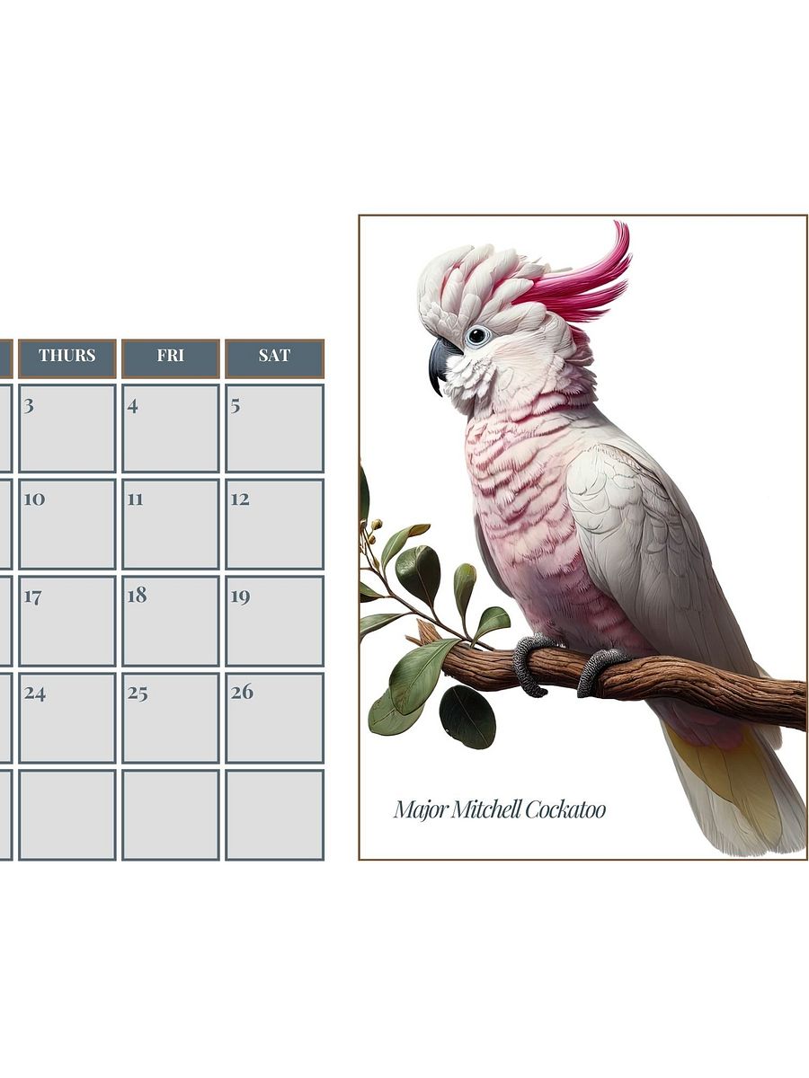 2025 Watercolor Birds Monthly Calendar – Elegant Bird Art for Nature Lovers product image (4)