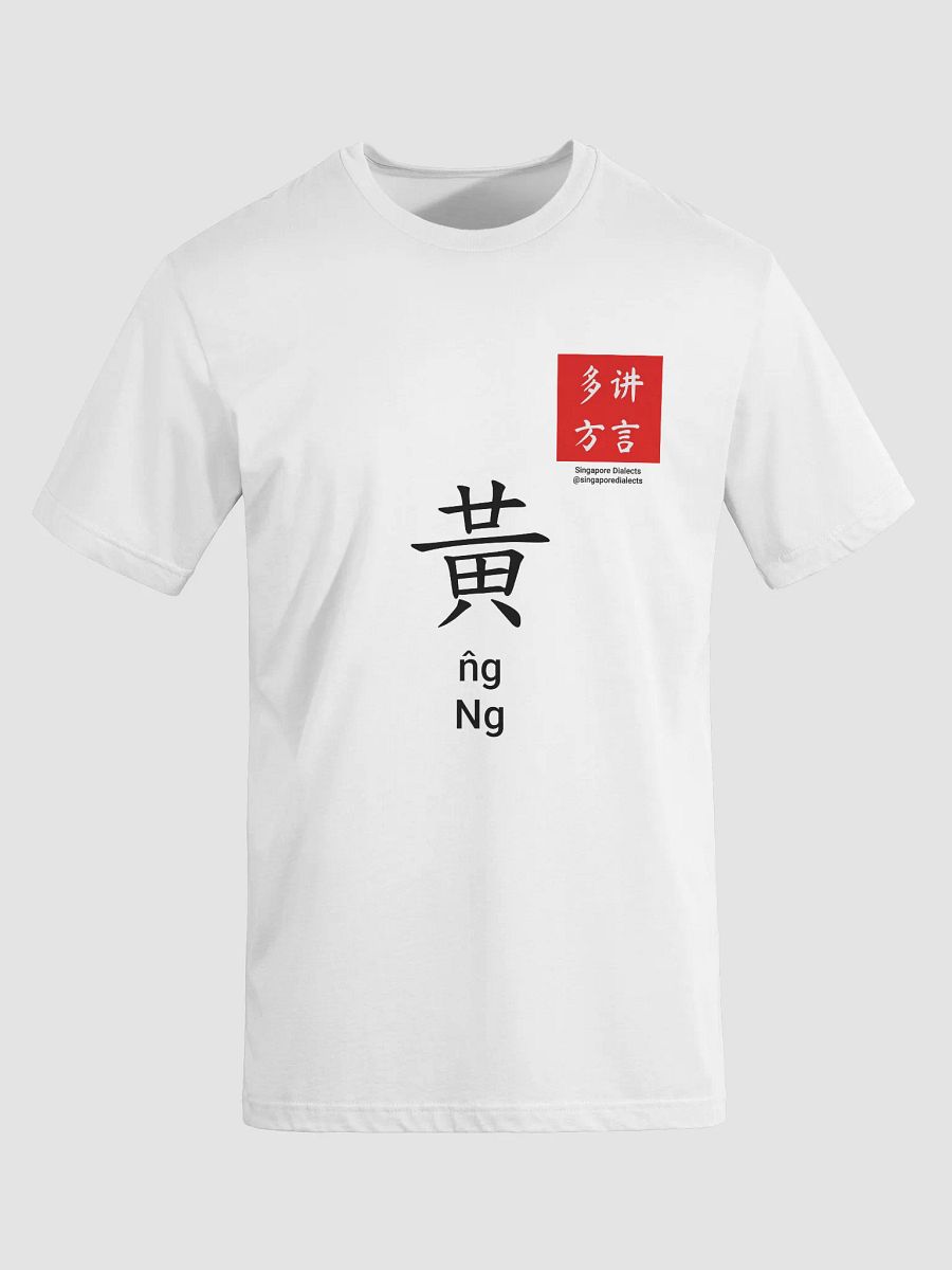 黄 Ng (Hokkien) Surname T-Shirt (Light) product image (8)