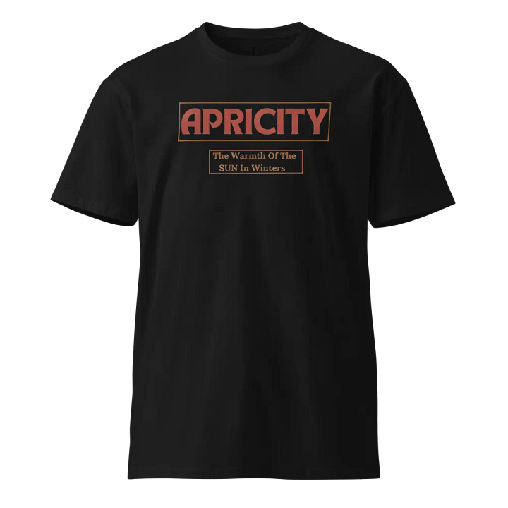 APRICITY: The Warmth Of The SUN In Winters T-Shirt product image (2)