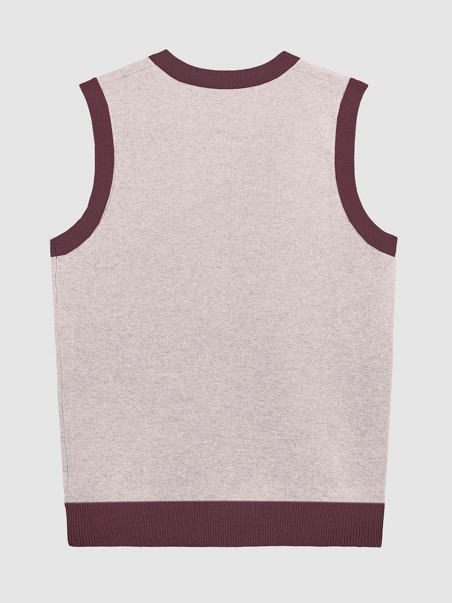 PLEASE DON'T MAKE ME TALK (maroon and pink) knitwear vest product image (8)