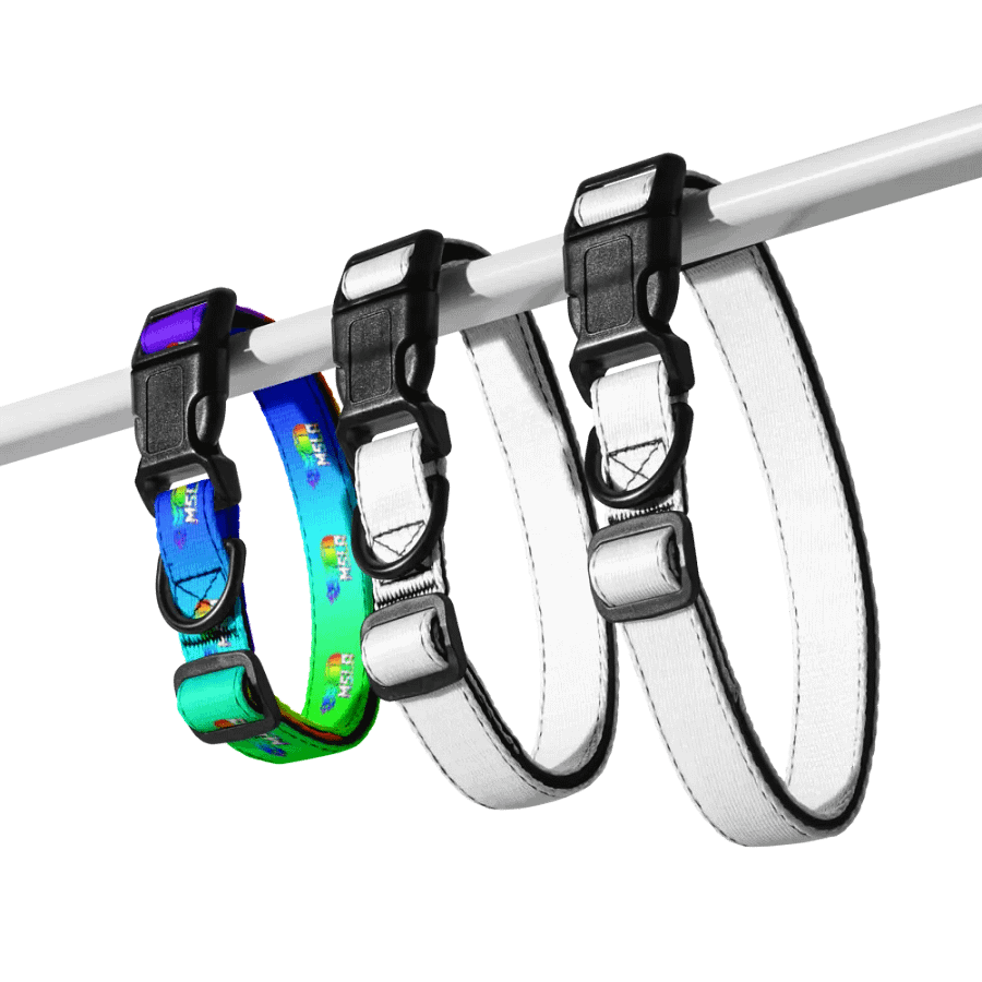 MSLA Pride - Dog Collar product image (5)
