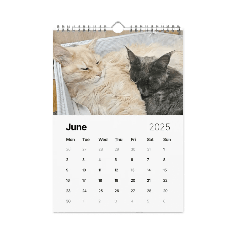 2025 Calendar - Maine Coon Adventures + Kittens product image (8)