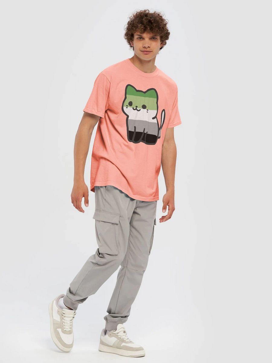 Aromantic Pride Kitty Man's Shirt product image (87)