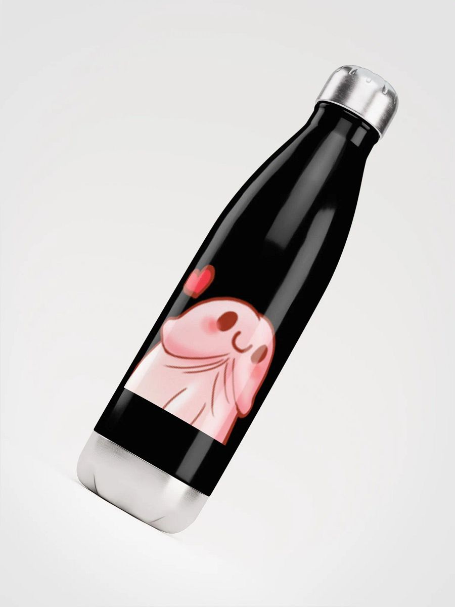gourde roger product image (4)
