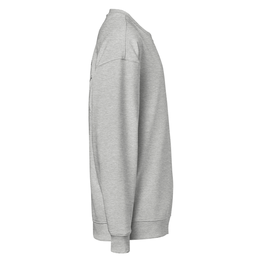 Organic Oversized Sweatshirt (Unisex) product image (4)