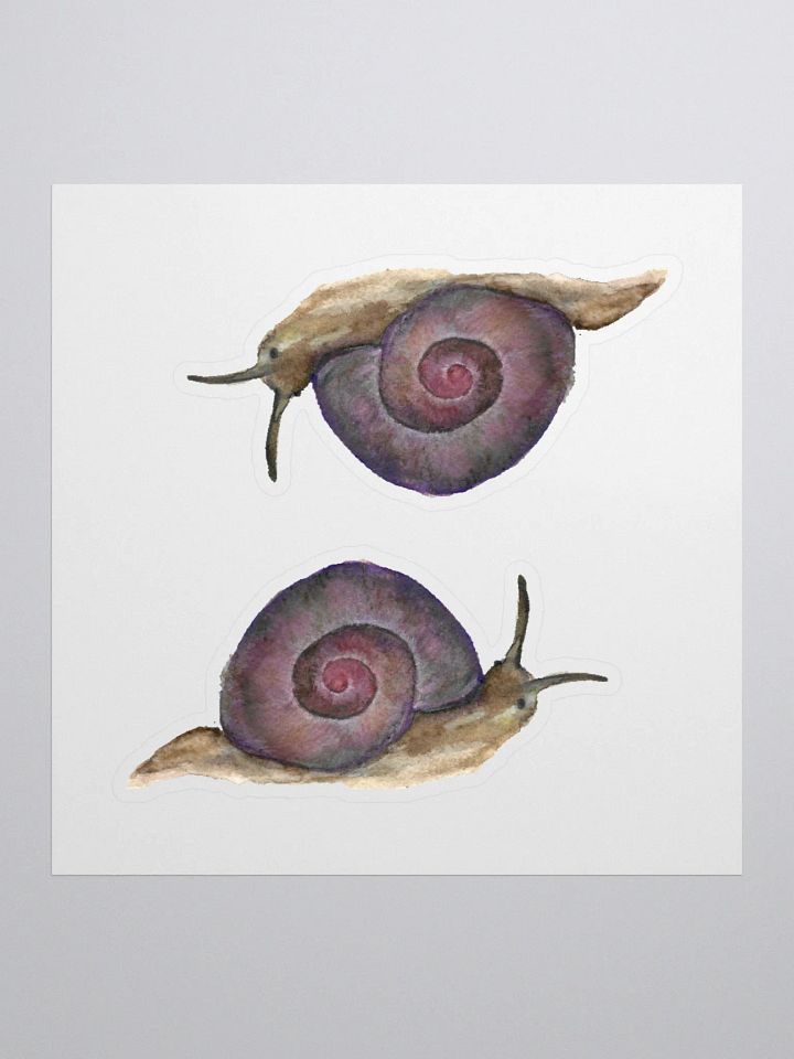 Snail (Helicina wettsteini) sticker product image (1)