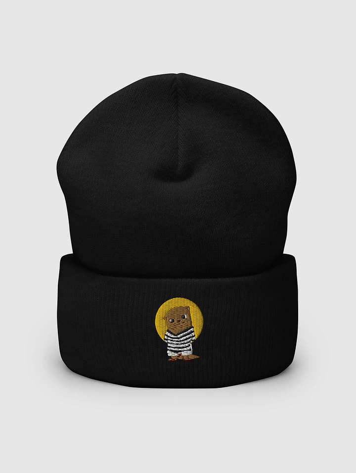 Otters Beanie product image (1)