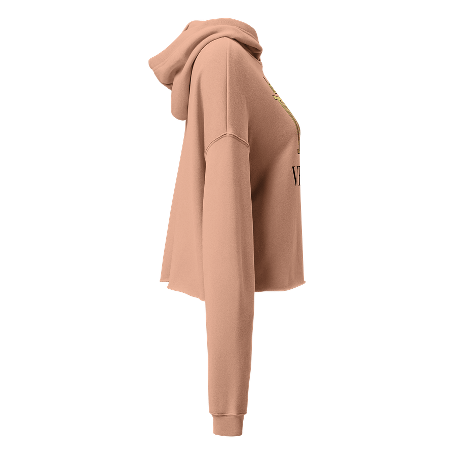 VETA Cropped Hoodie - Peach product image (3)