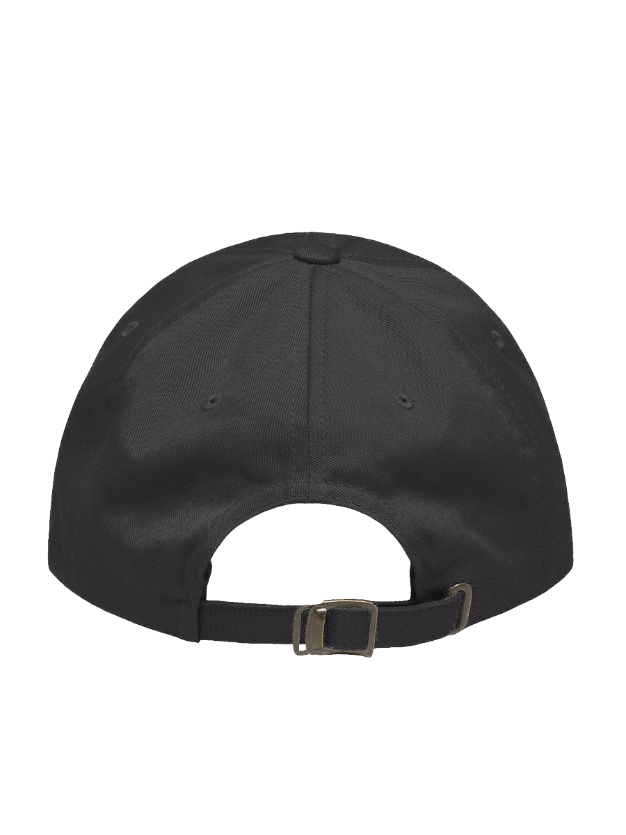 Y2K Quarterly Dad Hat product image (10)