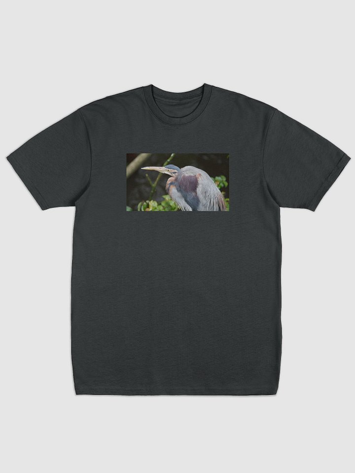 Colorful Bird Men's Premium Tee product image (1)