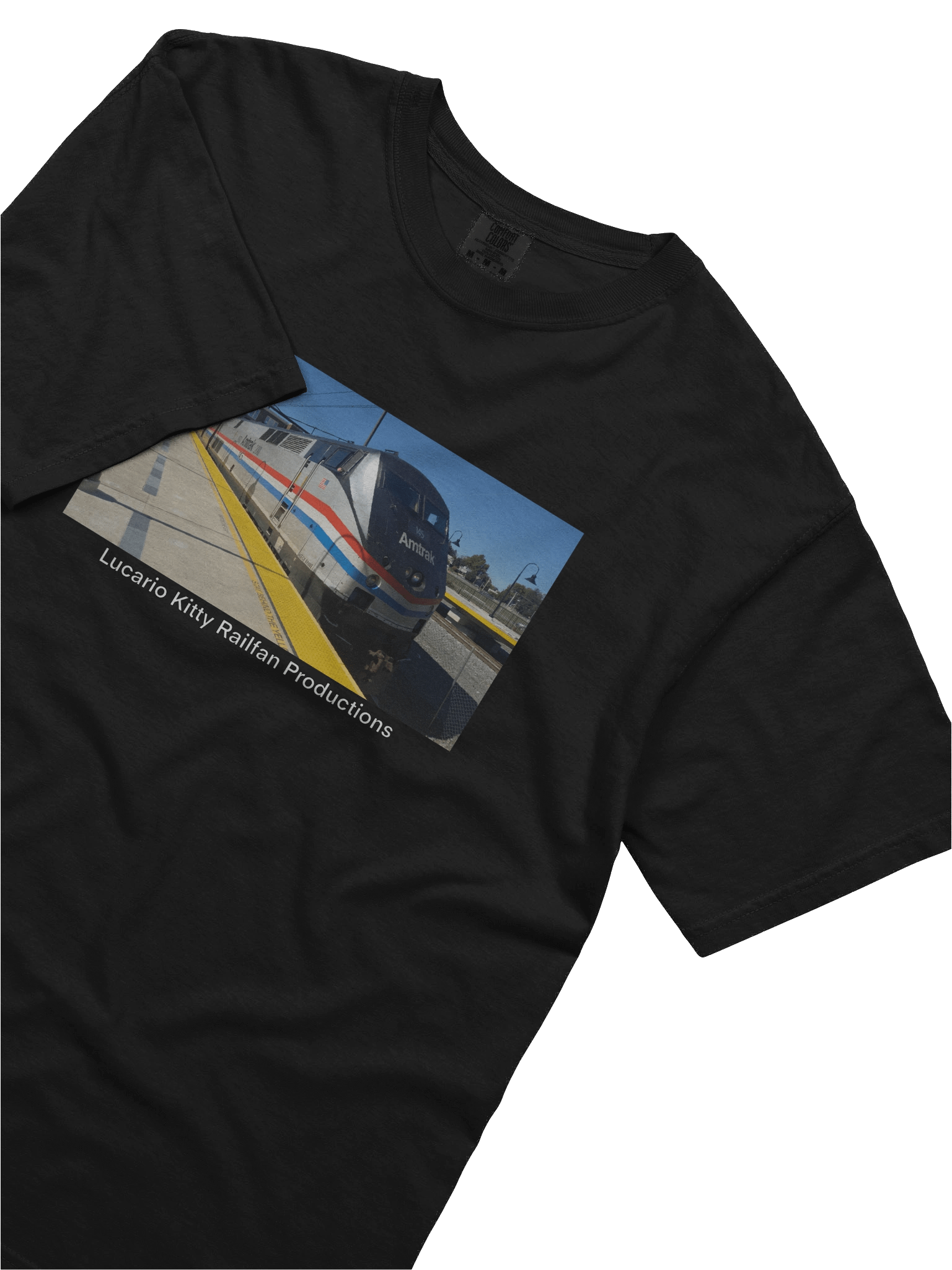Amtrak 145 product image (42)