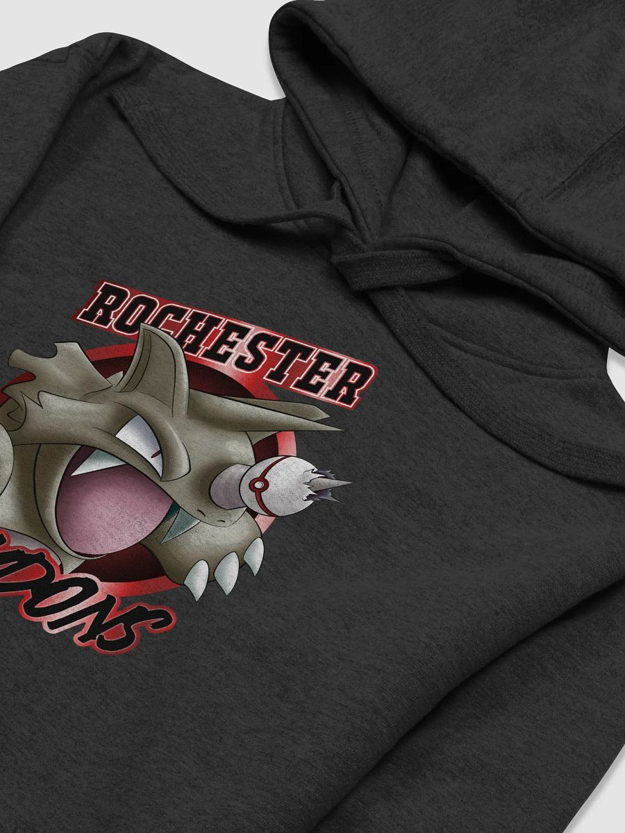 ROCHESTER RHYDONS SHINY HOODIE product image (57)