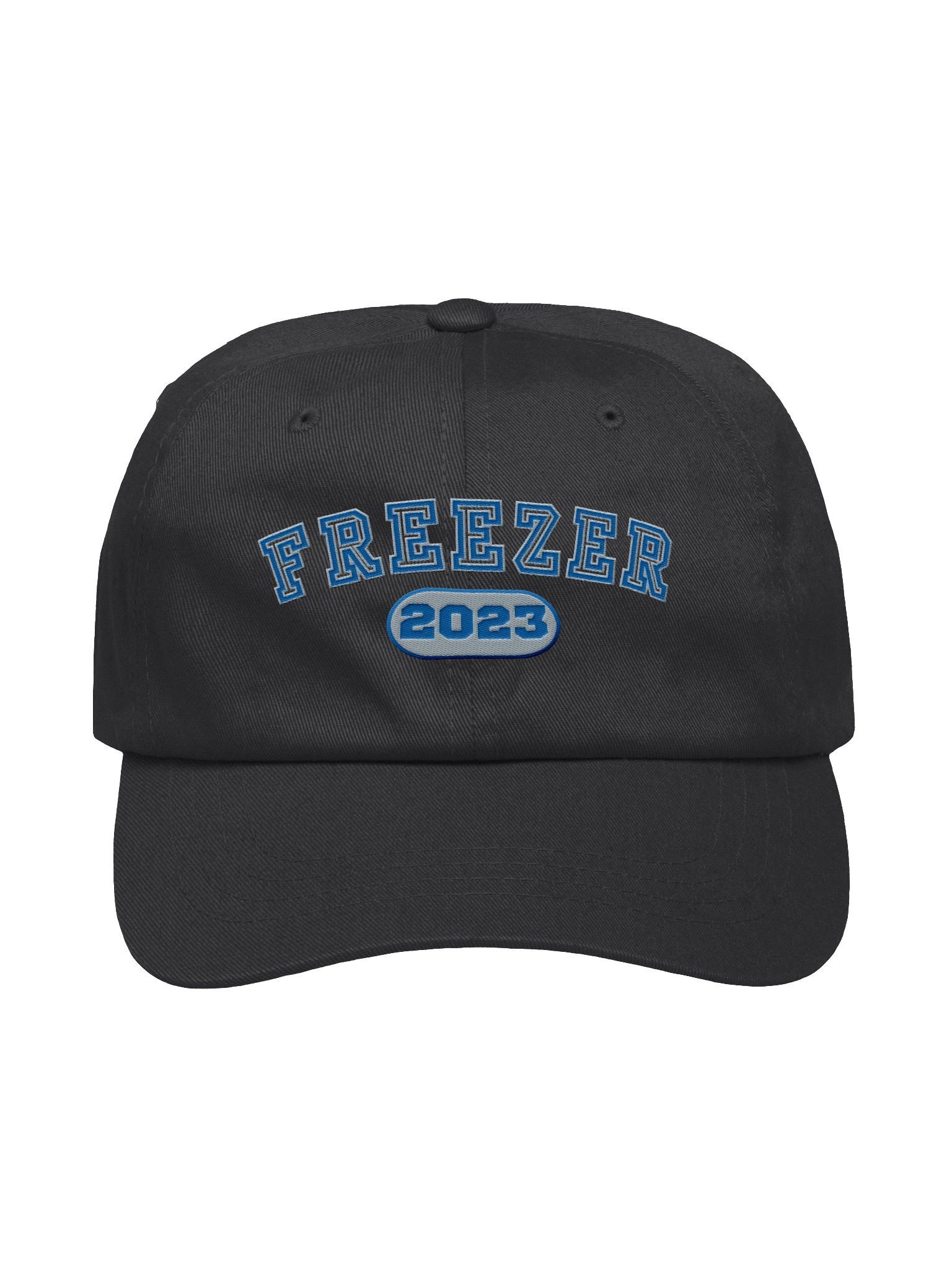 Freezer Dad Hat product image (3)