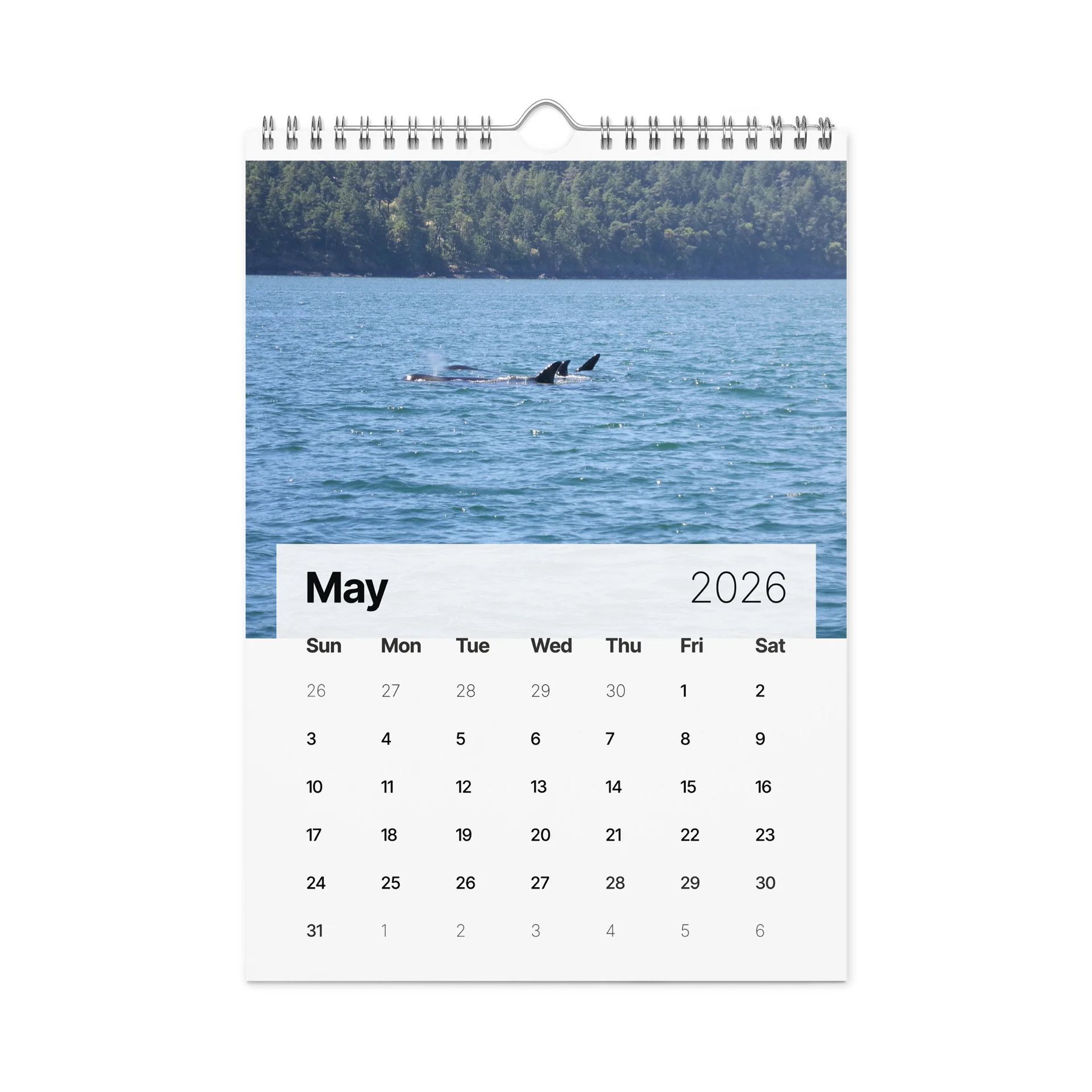 CRAVONE - 2026 Orca Calendar product image (10)