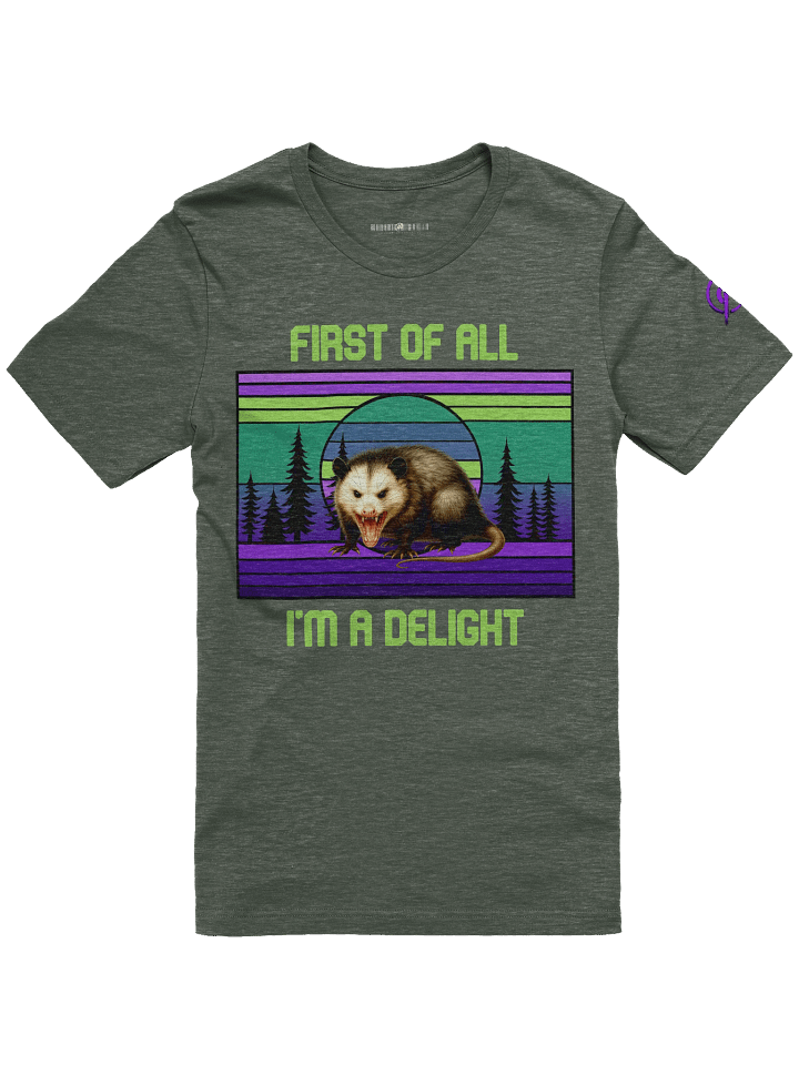 PASP Possum “I’m A Delight” Tee – Signature Colors product image (5)
