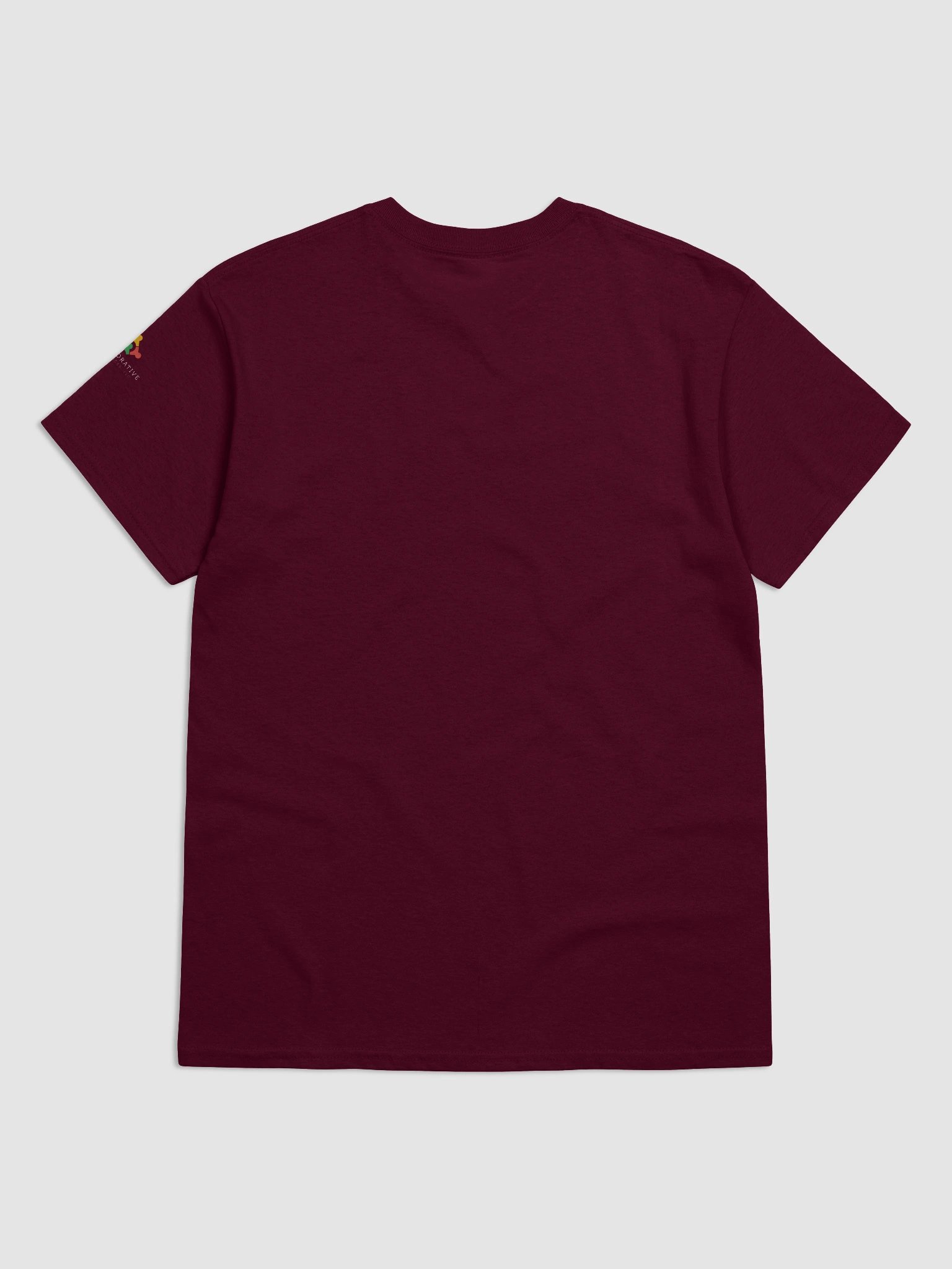 I am an Autism Provider Please Be Kind T-Shirt product image (6)