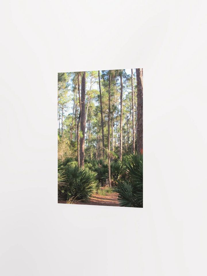 Florida Woods product image (15)