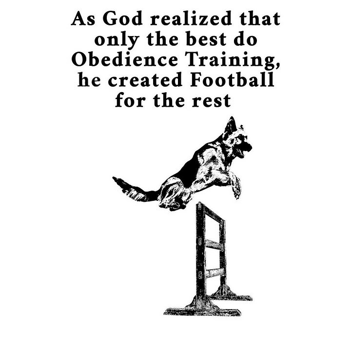 German Shepherd Obedience Training product image (2)