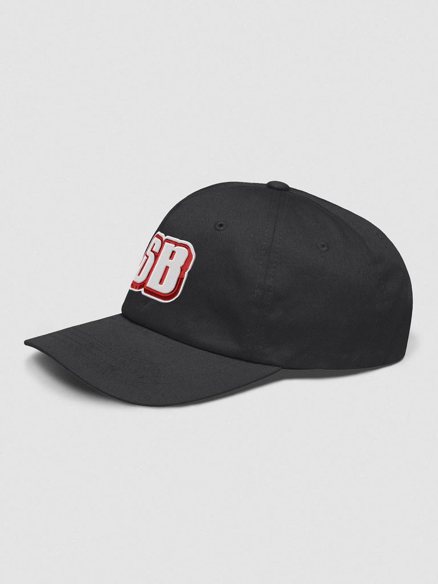 SB Dad Hat product image (3)