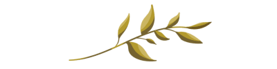 https://cdn.fourthwall.com/sr-creators/resources/7822625b-8716-493a-a90b-ac468c40122e/RackMultipart20250324-81-kuau6e.png