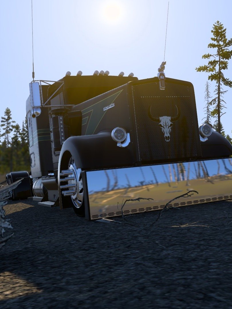 Kenworth W900 "The Legend" product image (7)