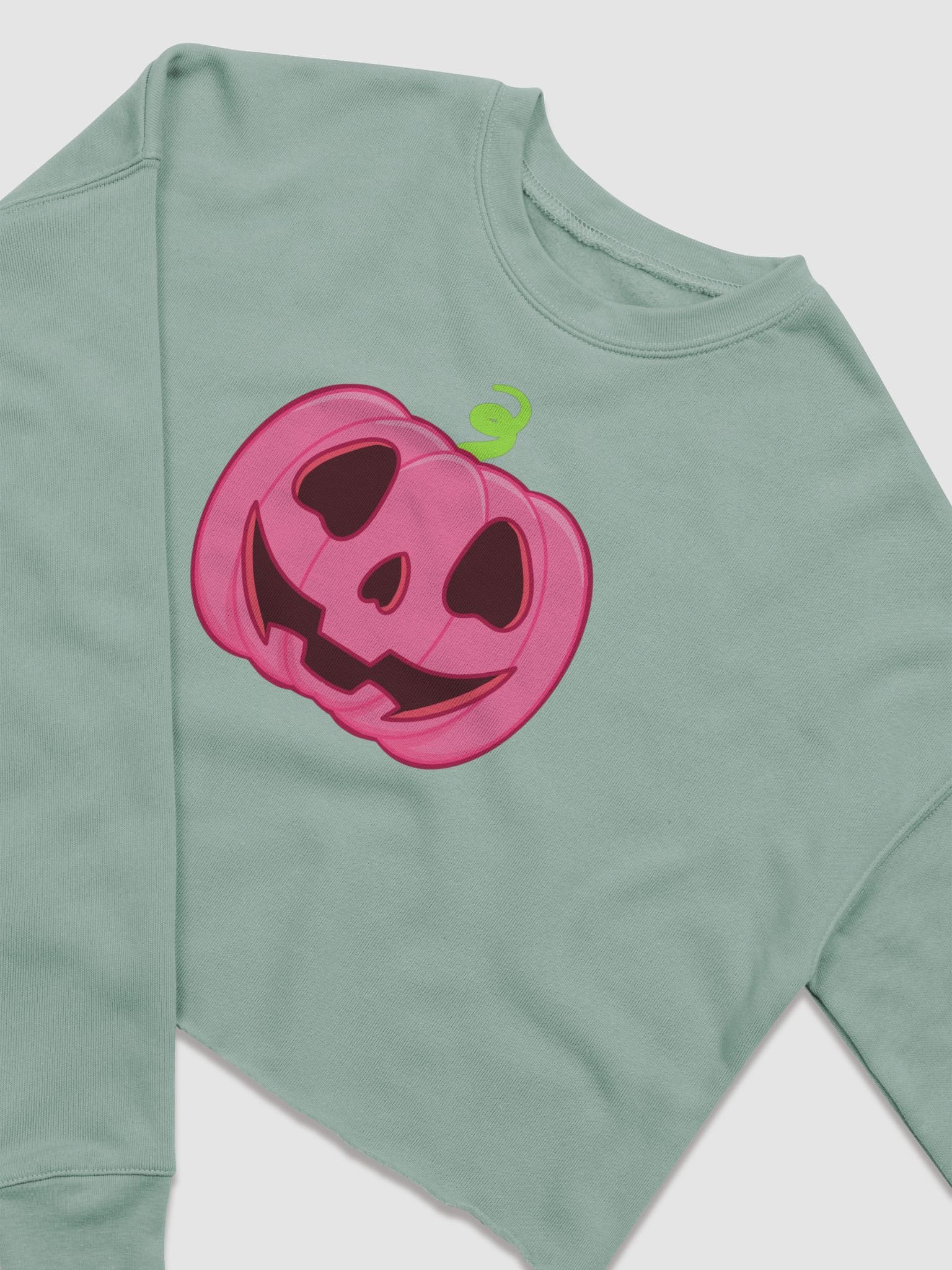 Pumpknnn crop sweatshirt product image (2)