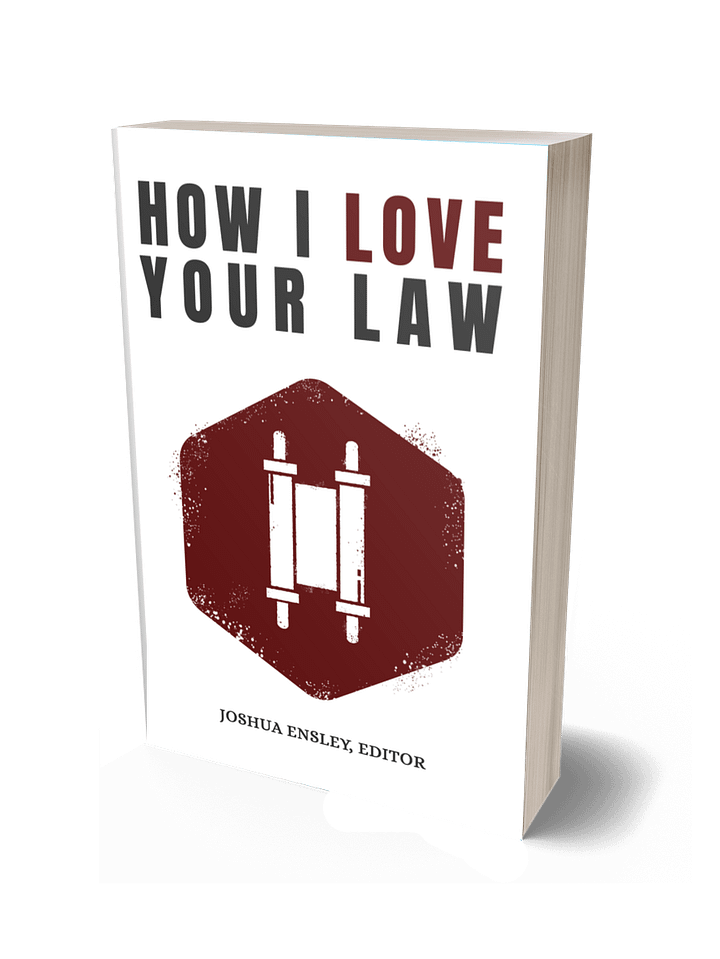 How I Love Your Law: Meditations on the Weekly Torah Portions product image (1)