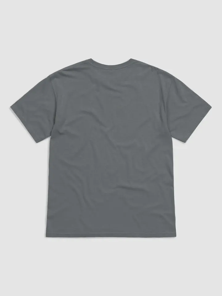 Champion T-Shirt on Gray/White/Ivory product image (6)