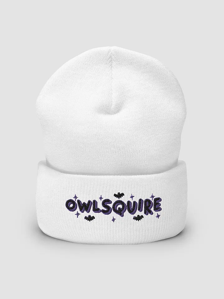 BATS Beanie (2022) product image (1)
