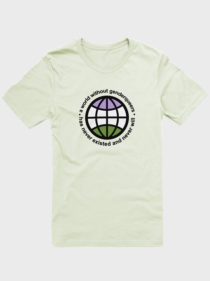 a world without genderqueers t-shirt product image (1)