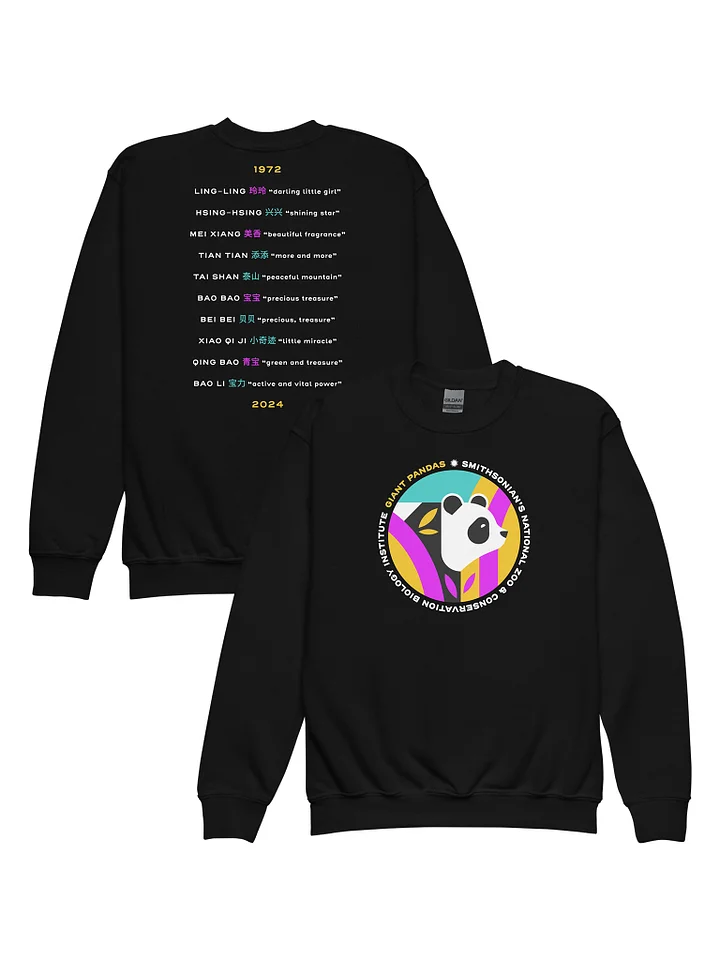 Pandas Are Here Sweatshirt (Youth) product image (1) Image 1