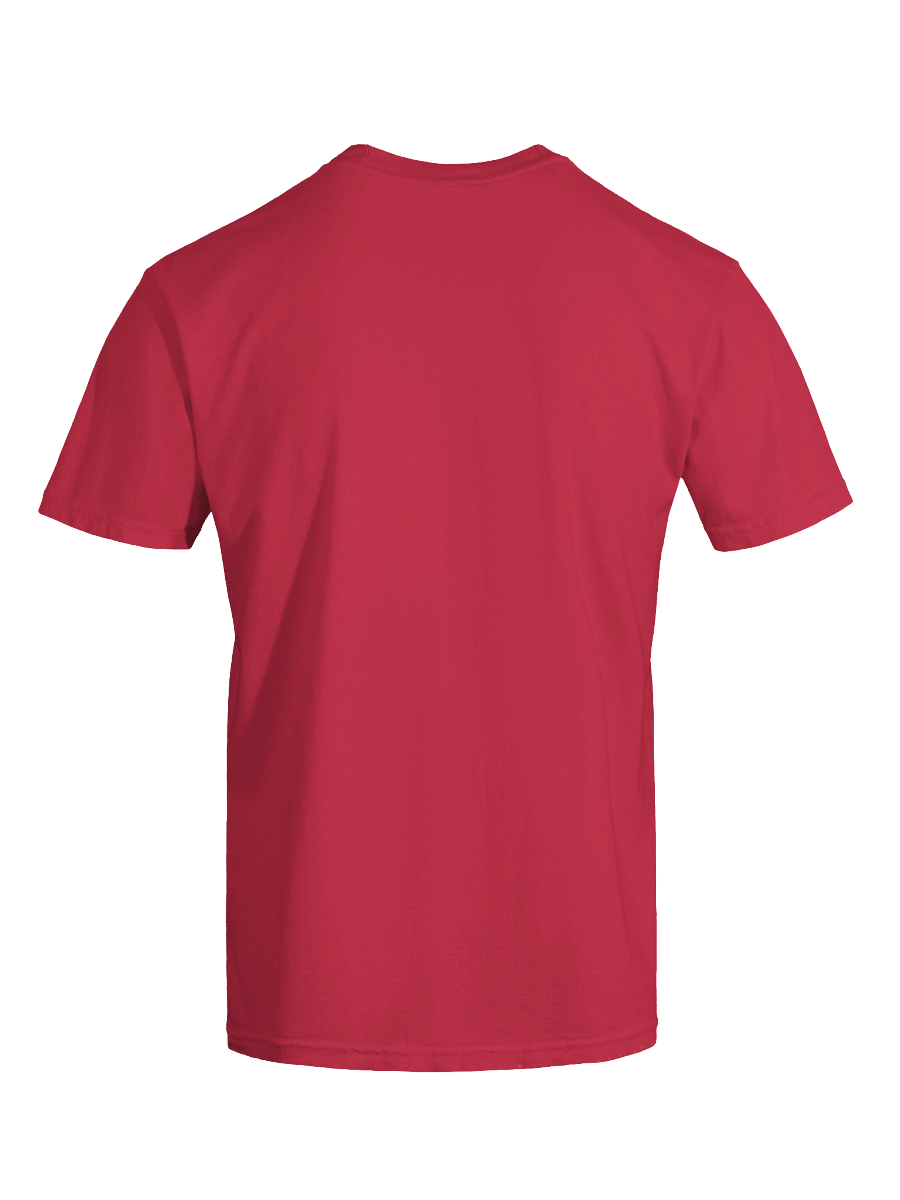 Oh No - Pwned! Tee product image (6)