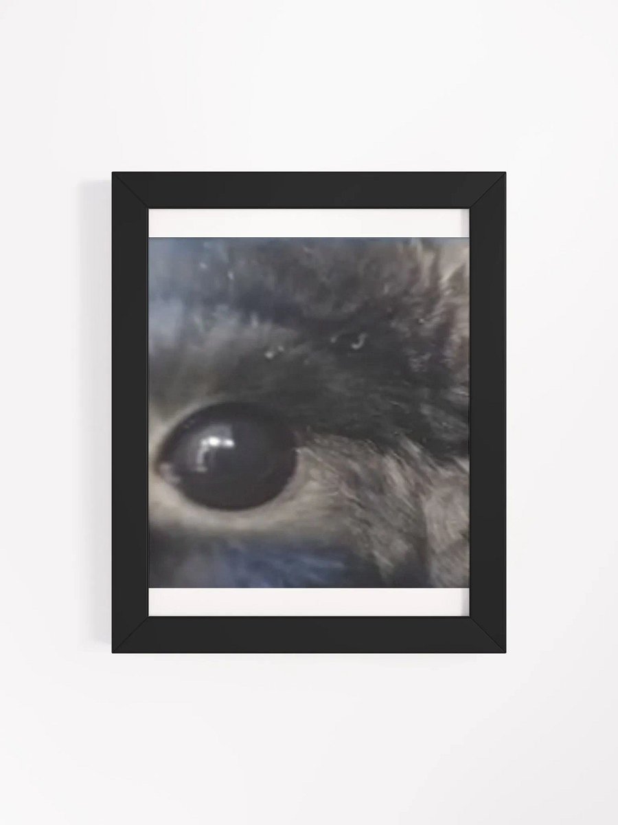 Bou Stare Poster product image (45)