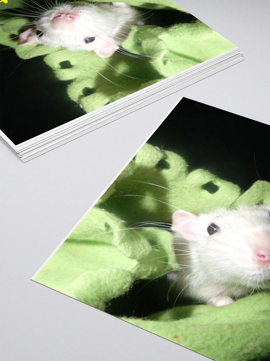 What? sticker product image (12)