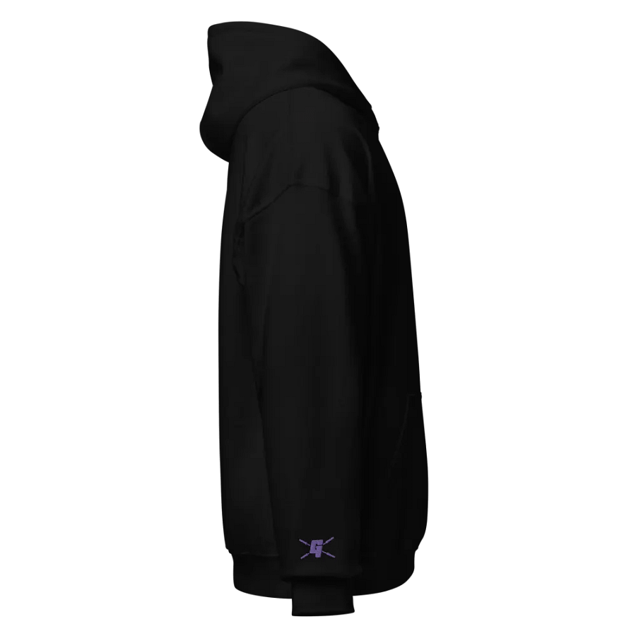 Embroidered Logos Hoodie product image (4)