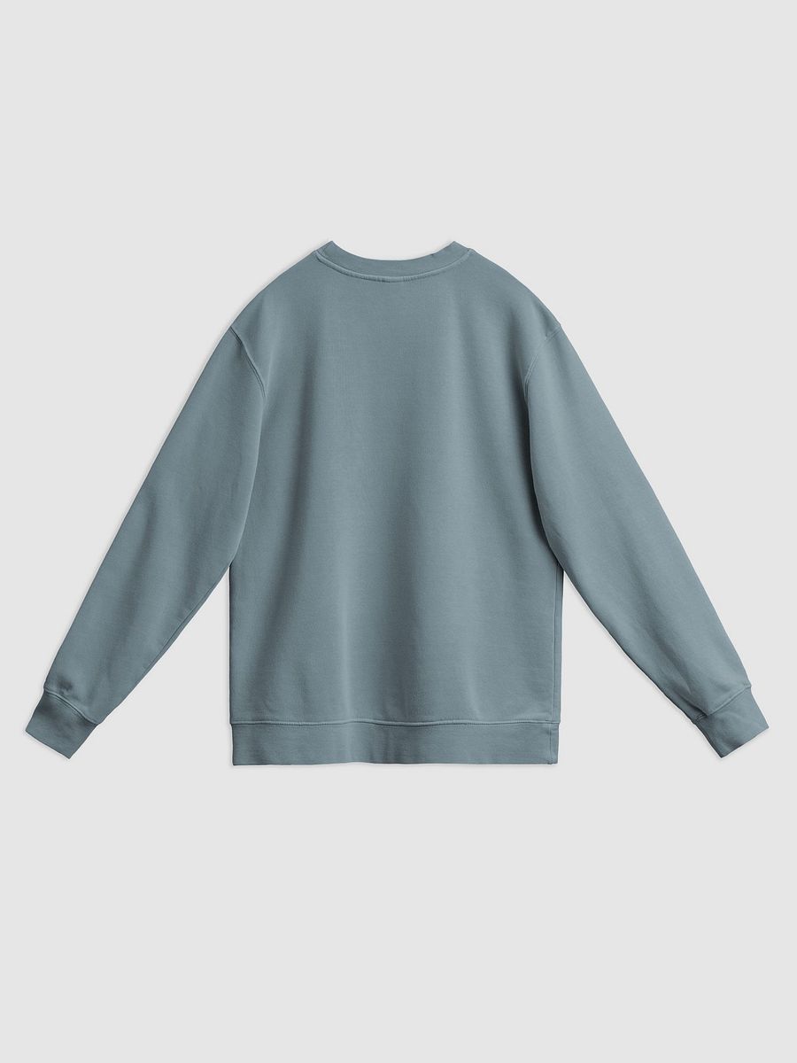 Disney World Family Midweight Pigment Dyed Sweatshirt product image (2)