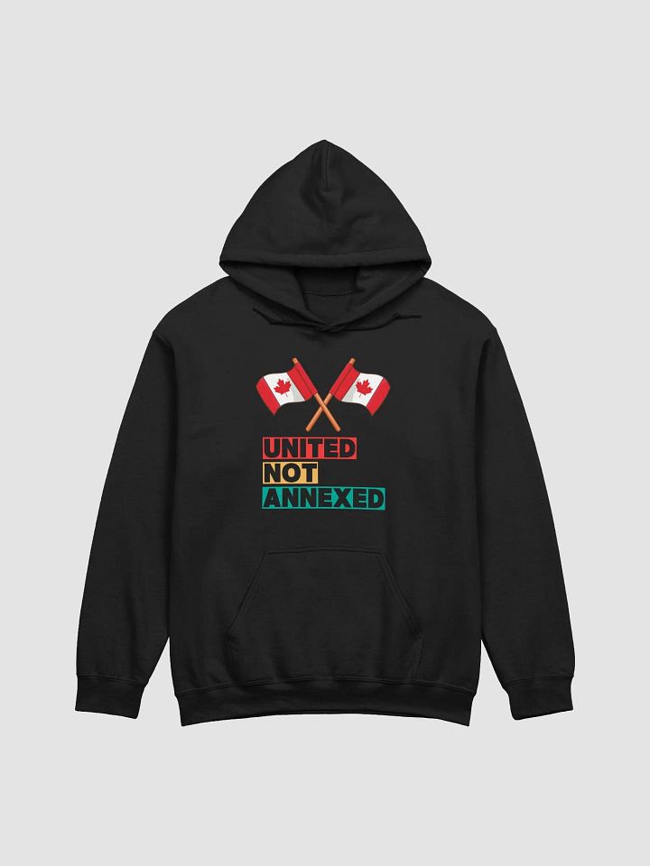 United Not Annexed Hoodie product image (8)