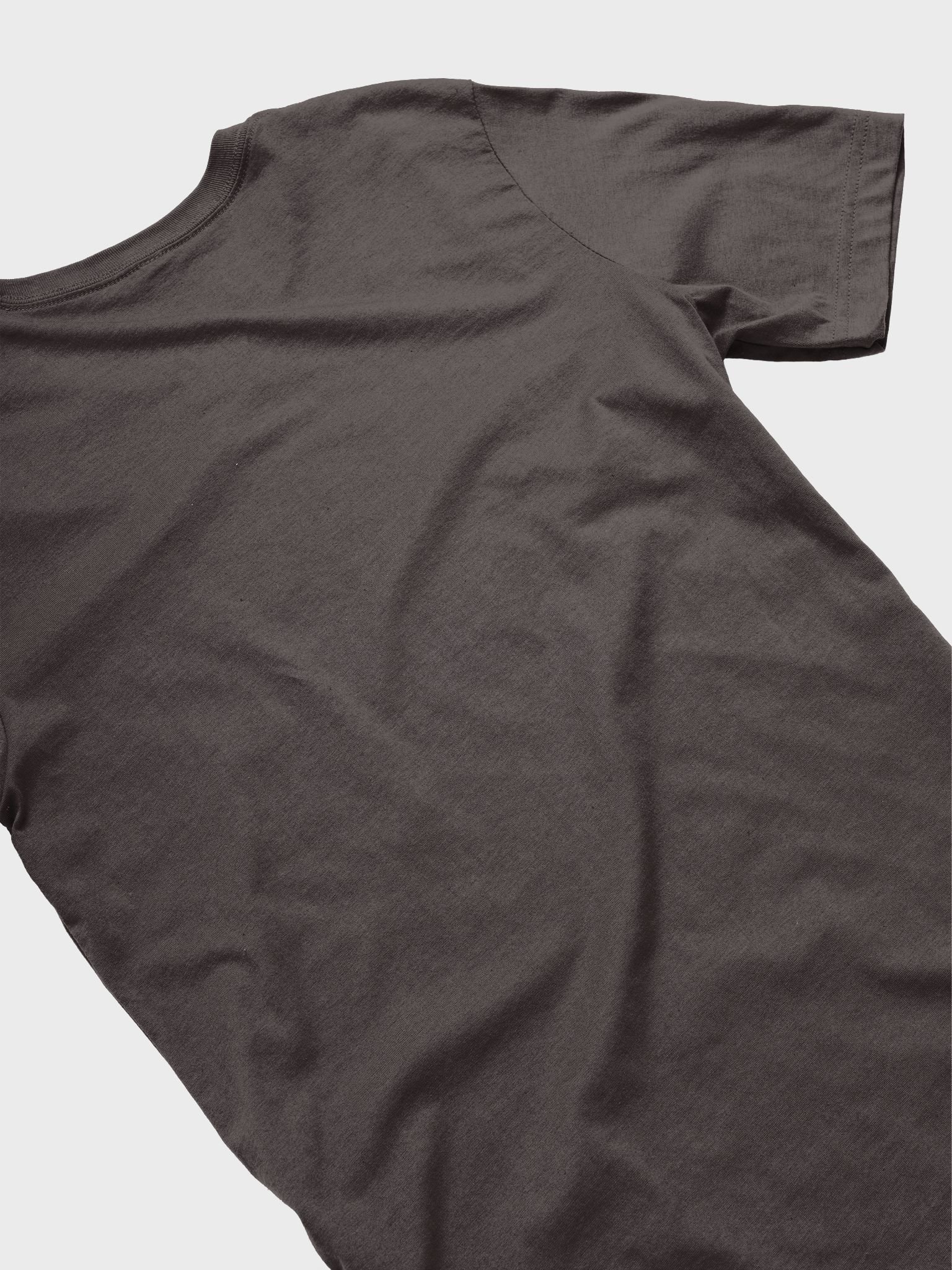 Womens Red Barn Cavaliers T-Shirt (size up) product image (5)