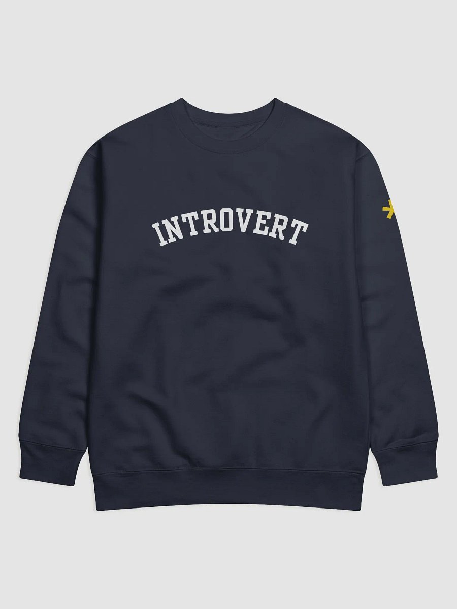 Introvert Premium Sweatshirt product image (1)