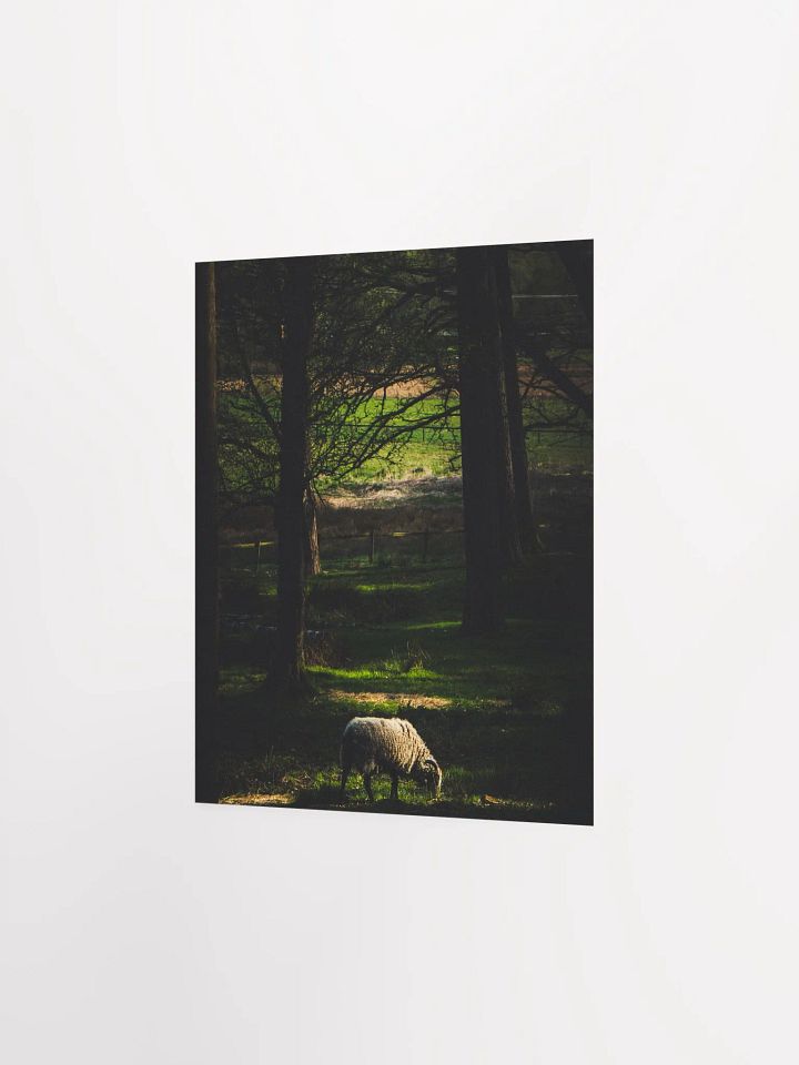 The Goat product image (5)