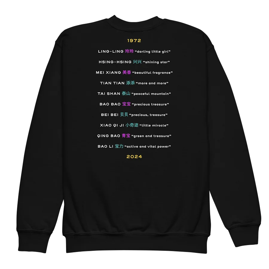 Pandas Are Here Sweatshirt (Youth) Image 3