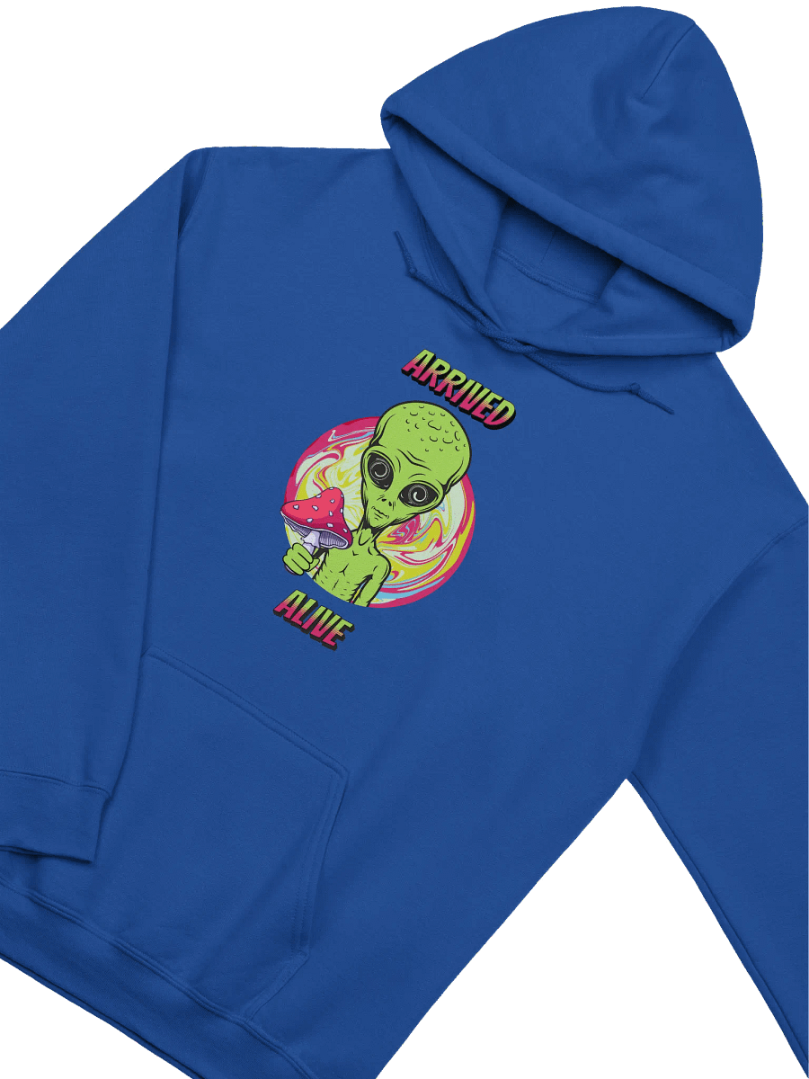 ARRIVED ALIVE ALIEN HOODIE product image (3)