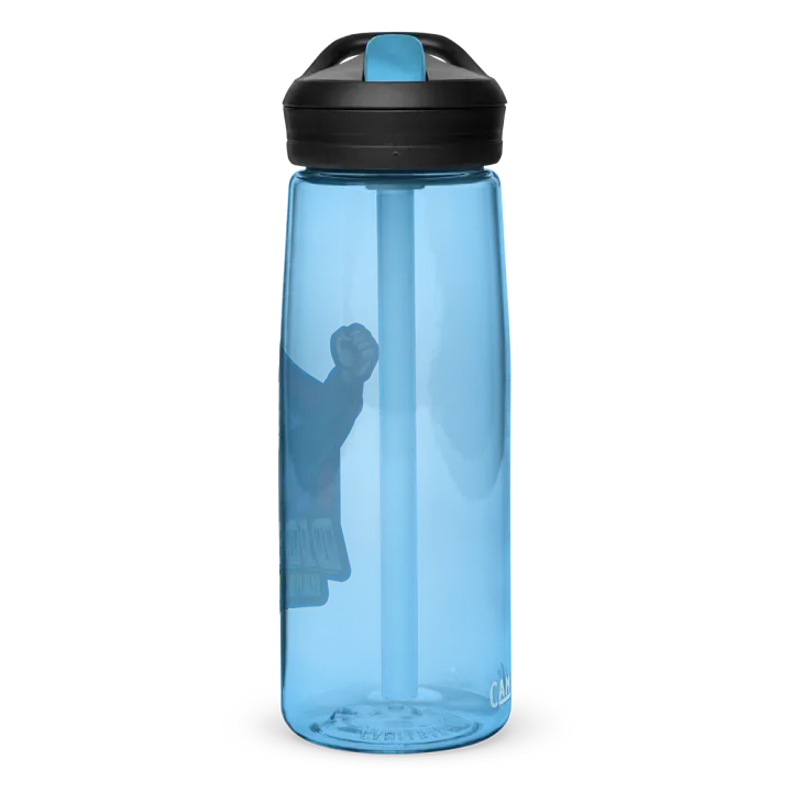 DJ DenMay - Water Bottle product image (59)
