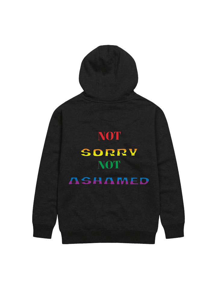 Not Sorry Not Ashamed product image (11)