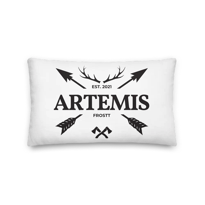 Artemis Arrow Pillow product image (2)