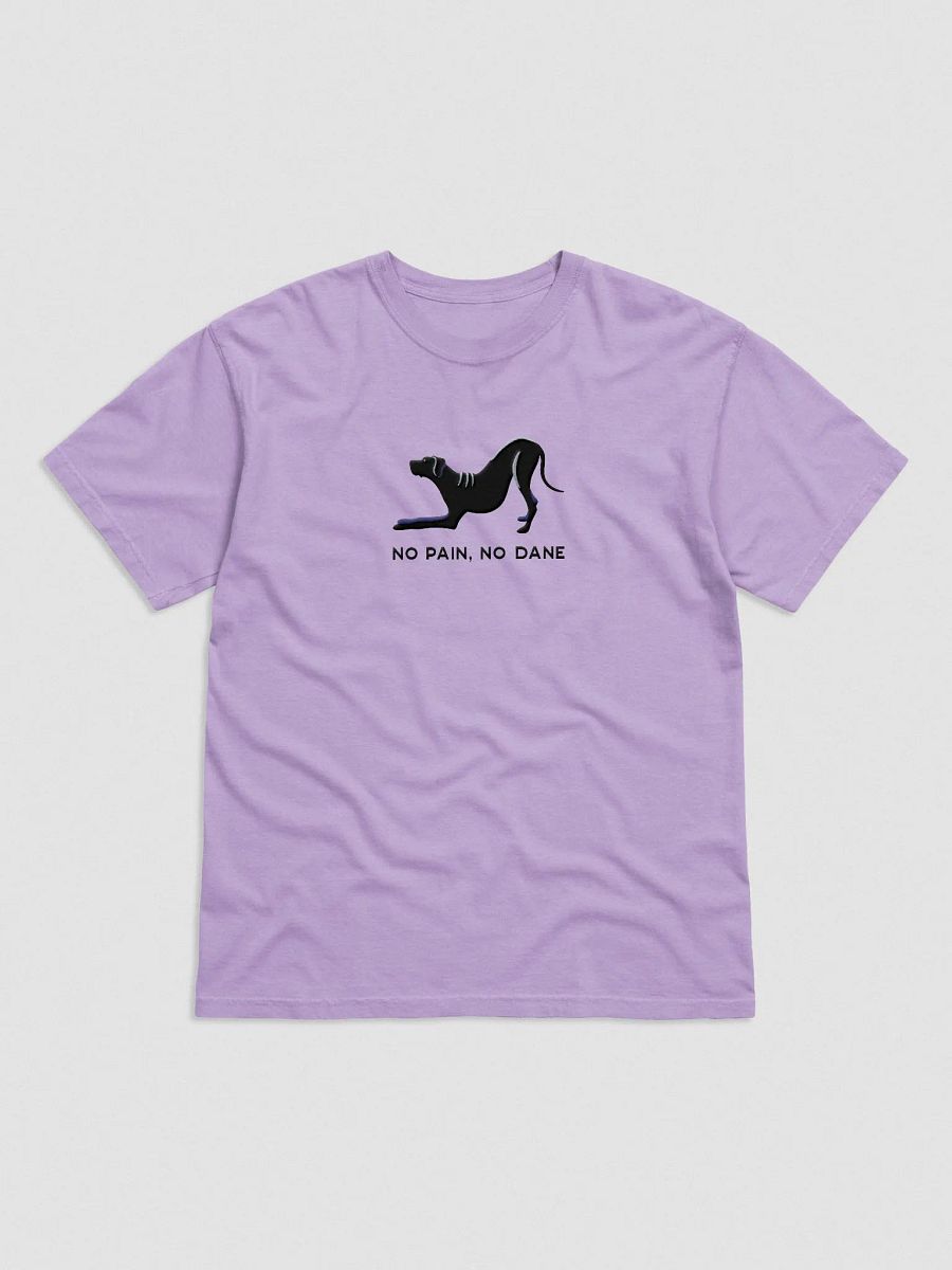 No Pain, No Dane T-Shirt(Embroidered) of a Great Dane(Black) product image (4)