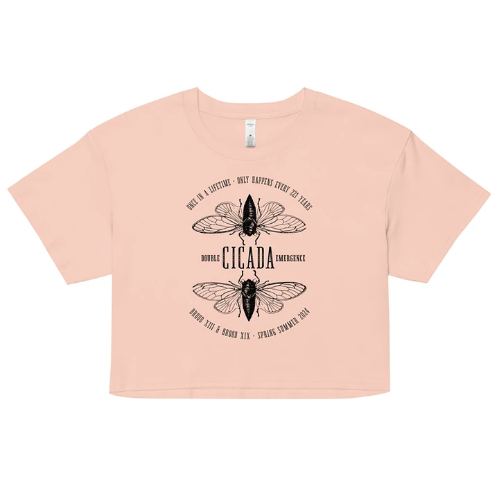 Double Cicada Scientific Illustration Cropped Tee (Women’s) product image (1) Image 1