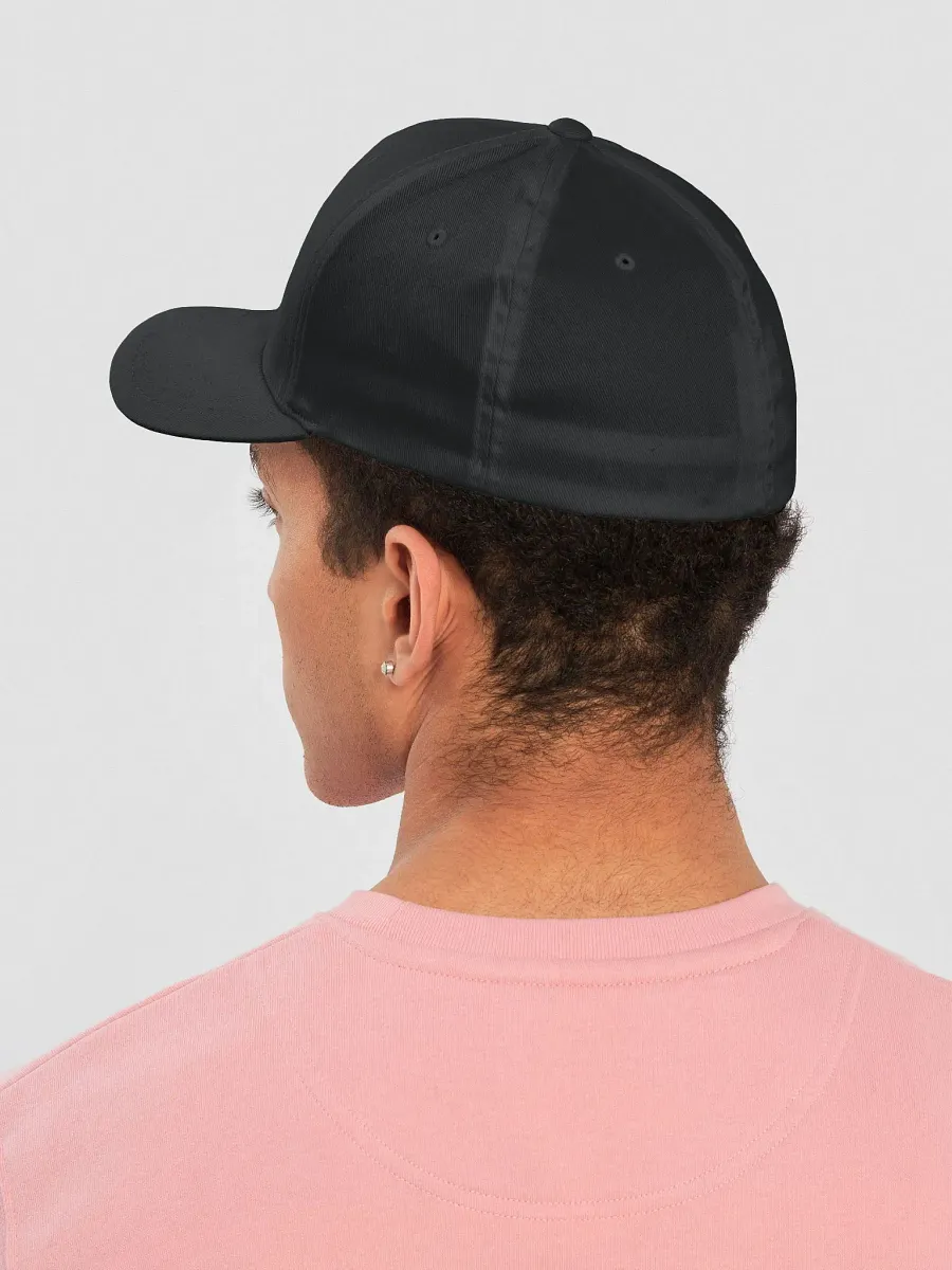 JustDisc - Flexfit Structured Fitted Cap product image (4)